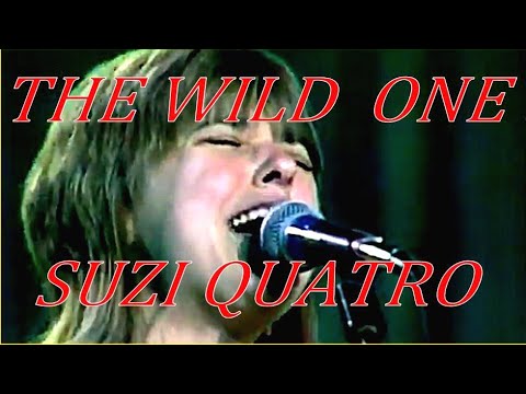 The Wild One/BOØWY & Suzi Quatro 歌詞和訳と意味